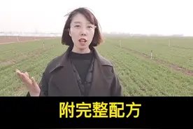 小麦年后管理，第一遍药什么时候打，打什么成分，配方在这里#农业技术 #小麦种植 #三农 视频封面