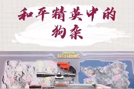 和平精英中的“狗杂”你真的了解吗？#和平精英 #吃鸡 #绝地求生 #刺激战场视频封面