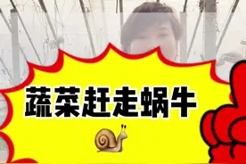 你菜园里的菜是不是都被蜗牛给吃了呢？教你一招，让蜗牛跑的比兔子还快。#种菜 #农业小知识 #三农 #种植小技巧 #蔬菜病虫害防治 #小菜园视频封面