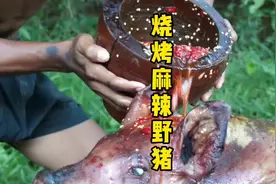非洲15岁少年设计陷阱徒手抓野猪，还把野猪烤了吃了。视频封面