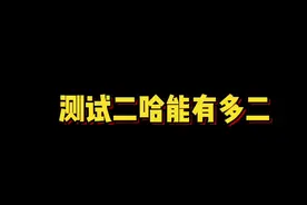 二哈到底有多二？经过测试可以确定，太二了#抖音动物图鉴 #萌宠出道计划 #奥斯卡是个高富帅哈士奇视频封面