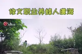 修文县大石布依族乡“良知蜜”欢迎您来品尝！！！#与梦想合拍视频封面