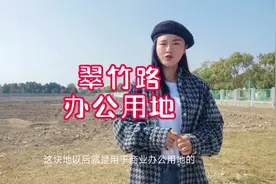 又有新的地块啦！城桥镇的商业办公用地匮乏视频封面