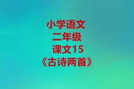 小学语文二年级下册课文15《古诗二首》视频封面