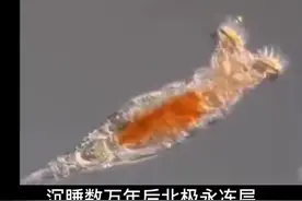 永冻层融化，蛭形轮虫被复活。抑或揭开人类永生之秘密，又恐远古病毒被释放……？！#远古生物与病毒#未解之谜