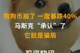 狗狗币崩了！一度暴跌40%！马斯克“承认”了：它就是骗局！ #狗狗币  #马斯克视频封面