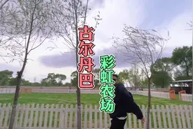 走在呼市找到一个，可以烧烤，钓鱼，露营，带孩子玩耍的地方