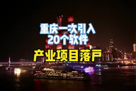 重庆一次引入20个软件产业项目落户#大卫聊地产 #重庆市视频封面