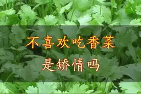 今天给不爱吃香菜的朋友们带来一个最有说服力的理由，快转给那些说你挑食的人吧。#蔬菜 @抖音小助手视频封面