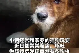 16岁女孩可能因接触猫狗粪便而感染钩虫#宠物清洁 #寄生虫感染 @DOU+小助手 视频封面