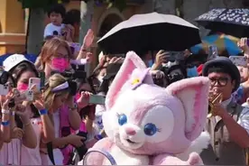 拜拜，跳芭蕾的紫色兔子。你会喜欢这位新晋“女顶流”吗？#玲娜贝儿 #川沙妲己 #迪士尼 视频封面