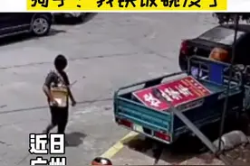 #拾荒大妈当狗面捡走狗饭盆视频封面