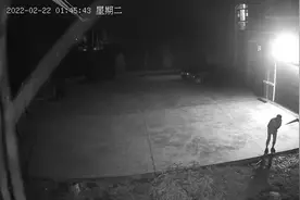 痴呆老人半夜三更不睡觉骂骂咧咧的快一晚上了，在一楼造反了视频封面