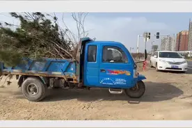 投资1800万！长葛这儿要高标准打造景观带视频封面