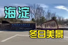 翠湖国家城市湿地公园自11月1日至次年3月31日闭园视频封面