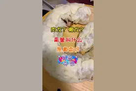 小时候总吃的肉龙，现在吃的不多了#肉龙 #懒龙 #懒龙卷 #肉龙的做法 #肉龙卷 #我要上热门 #抖音美食 #美食推荐 #面食 #传统美食 #家常美食 #家里的味道 @DOU+小助手 @抖音短视频视频封面