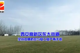 #战胜疫情陕西在行动 高新区东大街道，战疫情，保春耕！视频封面