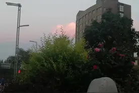 但曾相见便相知，相见何如不见时视频封面