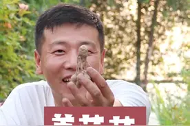 球根像生姜，开花像荷花，现在种一棵，2个月就开花！#姜荷花 #盆栽 视频封面