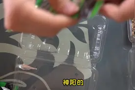 五款主流龟粮测评，复水性，浑浊度，保持度测试 #乌龟#水族视频封面