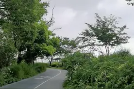 #防洪门 水位上涨的时候，把门关上就能够阻止水流入。在一些厂区也可以设置这种门。#市政工程 #工业园区视频封面