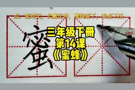 #创作灵感 三年级下册第14课《蜜蜂》同步语文生字书写示范视频封面
