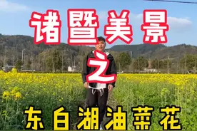 #诸暨 #东白湖 诸暨东白湖的油菜花开了！周末好去处视频封面