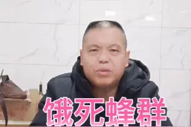 #养蜂技术分享 #养蜂人 #中蜂养殖 @跳绳队长（互） 视频封面