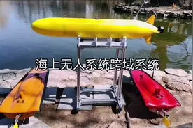 水面无人艇与水下机器人跨域协同视频封面