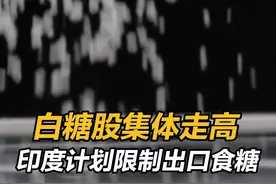 白糖股集体走高 #印度拟限制糖出口视频封面
