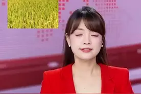 主播潘蓉居然被自己的新闻“骗”到了这? 带你打卡良渚古城遗址，买家秀vs卖家秀差别有多大? #良渚古城金秋光影视频封面