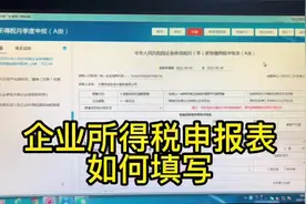 企业所得税申报表如何填写 #会计 #会计实操 #财务人 #做账报税视频封面