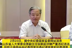 中央再打虎！山东副部级官员张新起落马曾任潍坊书记、青岛市长。#反腐 #山东视频封面