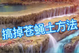 灭蝇小偏方，可以试试！#猪 #养猪人 #仔猪 #养猪 #母猪 #养殖场 #二元母猪视频封面
