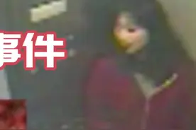 第2集，蓝可儿事件#民间故事 #真实事件 #大案纪实 #申请热门视频封面