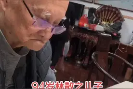 林散之儿子#书法视频封面