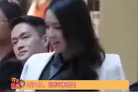 #张梓琳二胎得女，2013年张梓琳与老公聂磊结婚，两个女儿太幸福了视频封面