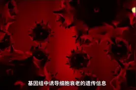 喜讯！中国科学院！破解人类密码！保持细胞年轻态！#探秘视频封面