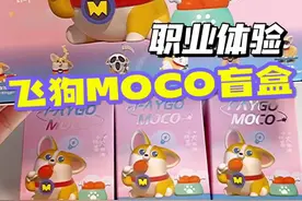 哇飞狗moco职业盲盒，太可爱了吧视频封面