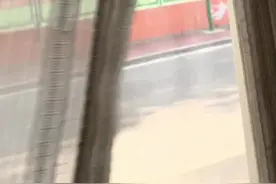 入住鲁能足校，上午先休息，今天下午2:30开始直播，绿城绿队VS富力、青岛追风VS鲁能黄（11A组）视频封面