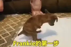 万物皆有灵！“后来遇见它，陪我春秋冬夏，愈合我的伤疤，大概我会一直幸福吧！”视频封面