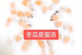 冬瓜皮蛋汤，清热解毒的一道养生汤。#天门谋哥日常分享视频封面