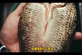 吃鲫鱼的四个禁忌#我要上热门 #健康 #生活常识 #原创视频封面
