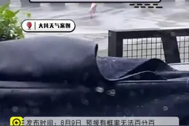 台风明天登陆#广东 粤西，已经有地市停课，沿海挂满预警信号请注意#暴雨 #大风 #广东dou知道 #注意防范 @抖音短视频视频封面