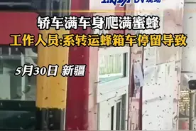密集恐惧症慎入！轿车满车身爬满蜜蜂，收费站工作人员:系转运蜂箱车停留导致，已对现场进行喷洒#新疆dou知道 视频封面