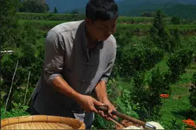  古代妆品复原，棉胭脂(上集），制作蚕丝纸 @抖音短视频  