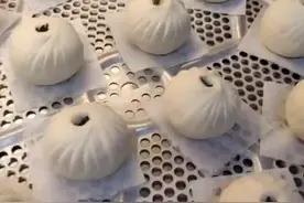 ①我们在和包子馒头面到位时候，有必要添加猪油吗？两个面团，一个加，一个不加，做个对比………