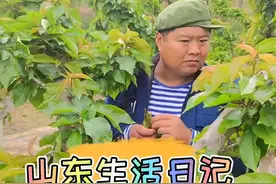 那个年代 你们家里有没有赊过小鸭 小鸡 小鹅#山东生活日记视频封面