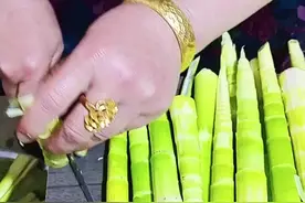 春天来了 春笋又多又便宜怎么办 教你一招这样处理了又经济口感又好 还可以储存半年以上#舌尖上的美味#舌尖上的道视频封面