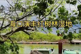海南海口演丰红树林湿地，在乌云笼罩下，海底村庄遥不可及。#海南 #海口 @抖音短视频视频封面